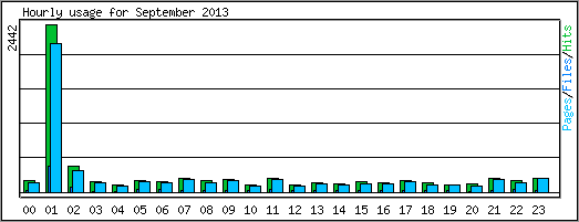 Hourly usage