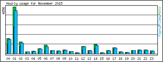 Hourly usage