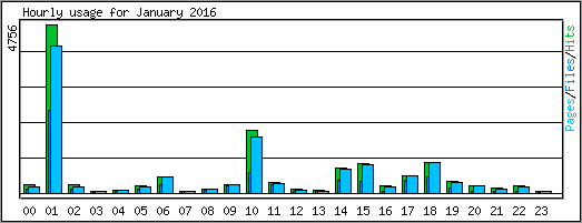 Hourly usage