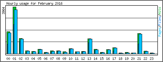Hourly usage