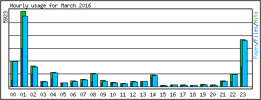 Hourly usage
