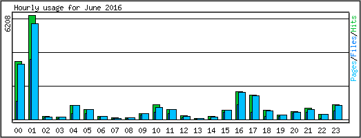 Hourly usage