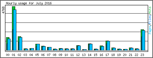 Hourly usage
