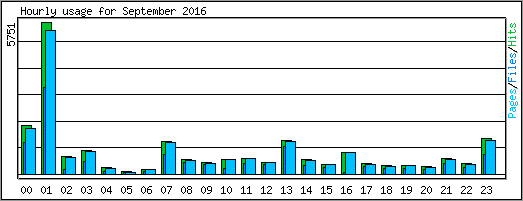 Hourly usage