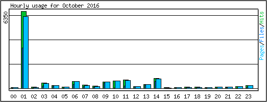 Hourly usage