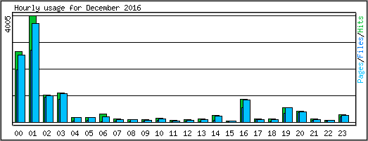 Hourly usage