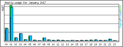 Hourly usage