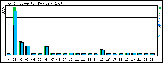 Hourly usage