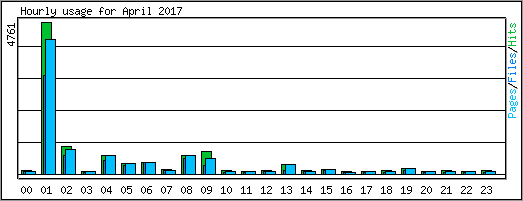 Hourly usage