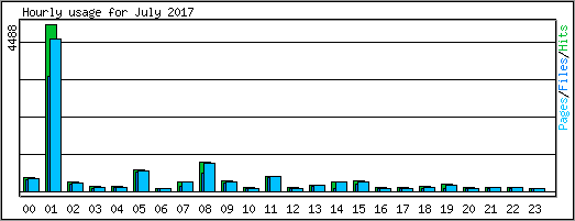 Hourly usage