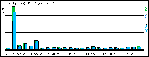 Hourly usage