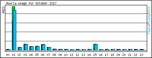 Hourly usage