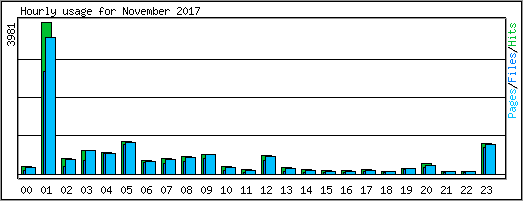 Hourly usage