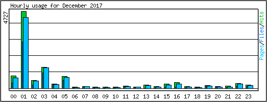 Hourly usage