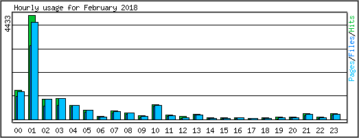Hourly usage