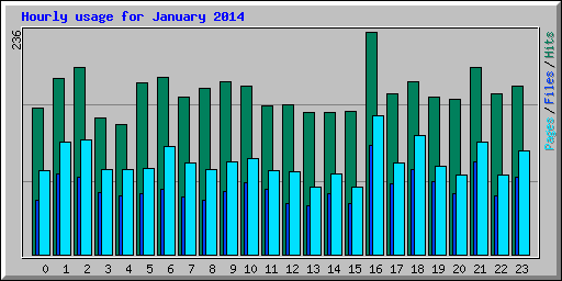 Hourly usage for January 2014