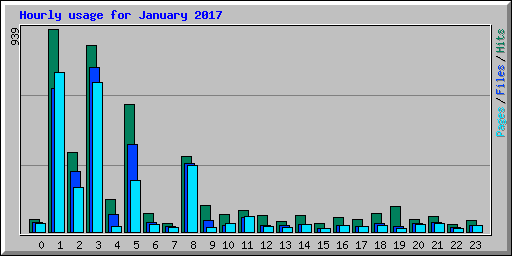 Hourly usage for January 2017