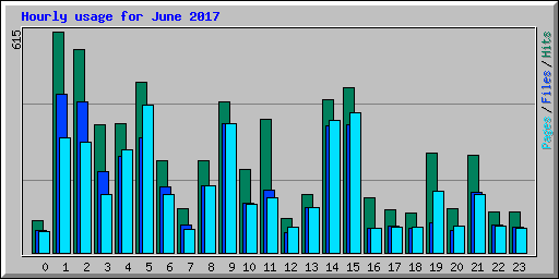 Hourly usage for June 2017